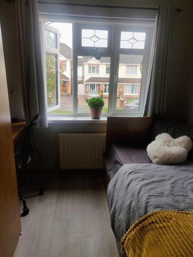 Private Room In Dublin Exterior photo